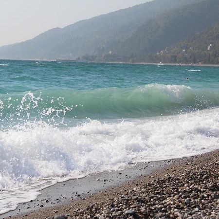 Mamzyshkha Guest House Gagra Esterno foto